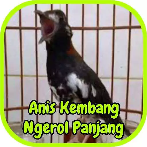 Free play online Kicau Anis Kembang Ngerol Panjang APK