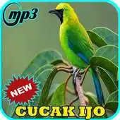 Free play online Kicau Burung Cucak Ijo Gacor APK