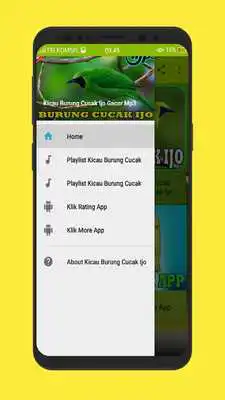 Play Kicau Burung Cucak Ijo Gacor