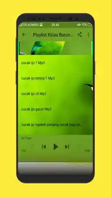 Play Kicau Burung Cucak Ijo Gacor