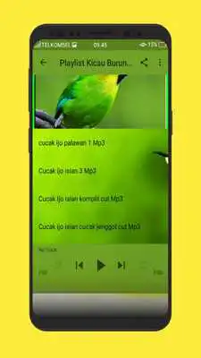 Play Kicau Burung Cucak Ijo Gacor