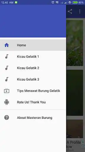 Play Kicau Burung Gelatik