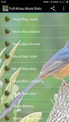 Play Kicau Burung Kenari Offline Lengkap