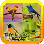 Free play online Kicau Burung Lengkap APK