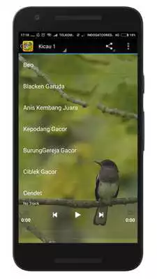 Play Kicau Burung Lengkap