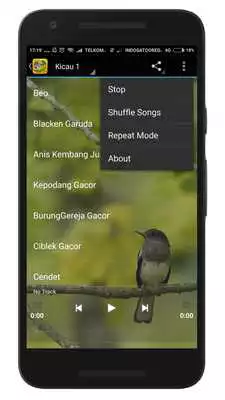 Play Kicau Burung Lengkap