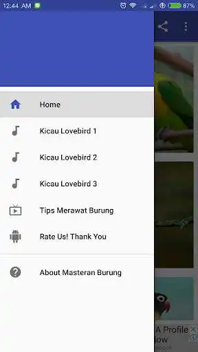 Play Kicau Burung Lovebird