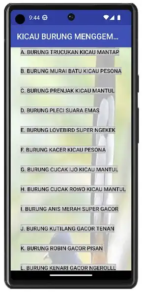 Play KICAU BURUNG MENGGEMASKAN  and enjoy KICAU BURUNG MENGGEMASKAN with UptoPlay