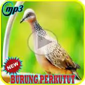 Free play online Kicau Burung Perkutut Terlengkap Mp3 APK