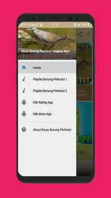 Play Kicau Burung Perkutut Terlengkap Mp3