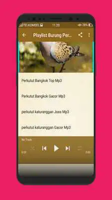 Play Kicau Burung Perkutut Terlengkap Mp3