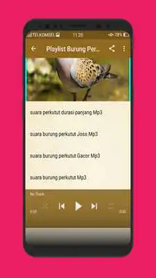 Play Kicau Burung Perkutut Terlengkap Mp3