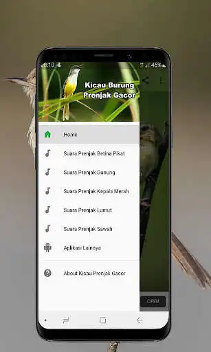 Play Kicau Burung Prenjak (Ciblek) Gacor as an online game Kicau Burung Prenjak (Ciblek) Gacor with UptoPlay
