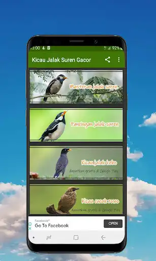 Play Kicau Jalak Suren Gacor - Offline  and enjoy Kicau Jalak Suren Gacor - Offline with UptoPlay