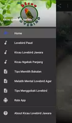 Play Kicau Lovebird Jawara Paud