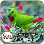 Free play online Kicau Master Serindit Burung APK