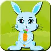 Free play online Kids Game-Crazy Bunny Veggie APK