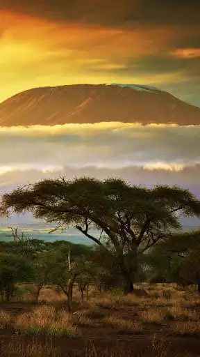 Play Kilimanjaro Wallpapers  and enjoy Kilimanjaro Wallpapers with UptoPlay