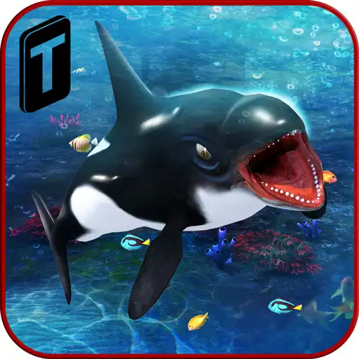 Play Killer Whale Beach Attack 3D APK