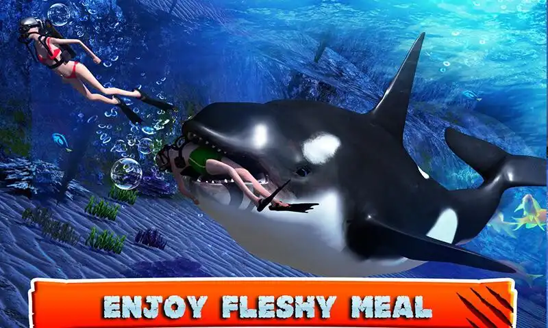 Play Killer Whale Beach Attack 3D as an online game Killer Whale Beach Attack 3D with UptoPlay