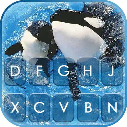 Play Killer Whales Keyboard Background APK