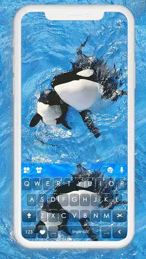 Play Killer Whales Keyboard Background  and enjoy Killer Whales Keyboard Background with UptoPlay