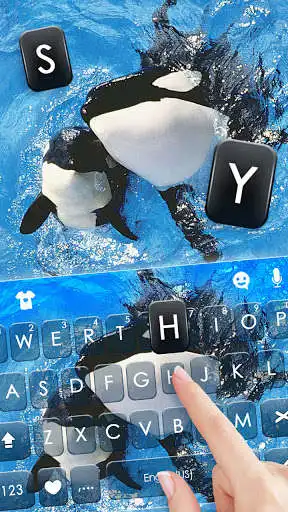 Play Killer Whales Keyboard Background as an online game Killer Whales Keyboard Background with UptoPlay