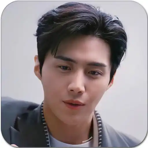 Play Kim Seon Ho Wallpaper APK