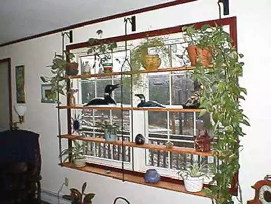 Play Kitchen Plant Shelves