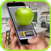 Free play online Kitchen Scale simulator prank APK