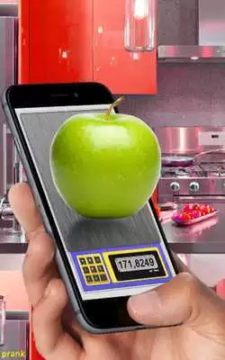 Play Kitchen Scale simulator prank