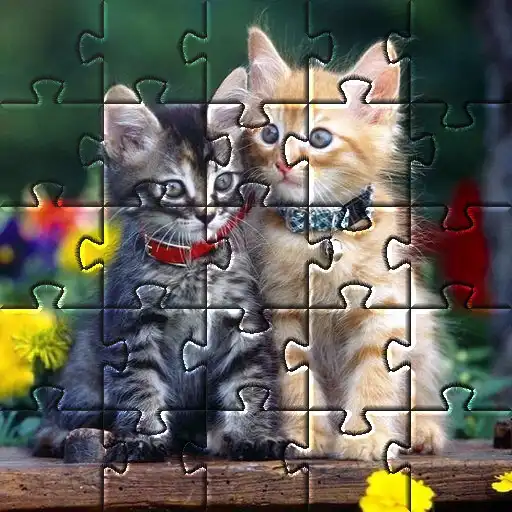 Play Kittens Cute Cat Jigsaw Puzzle APK