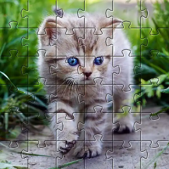 Play Kittens Cute Cat Jigsaw Puzzle as an online game Kittens Cute Cat Jigsaw Puzzle with UptoPlay