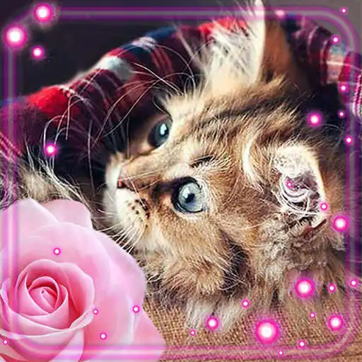 Play Kitty Pink Style APK