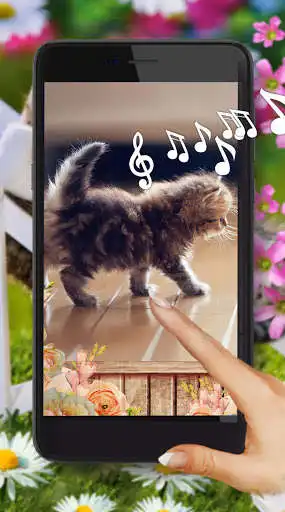 Play Kitty Pink Style  and enjoy Kitty Pink Style with UptoPlay