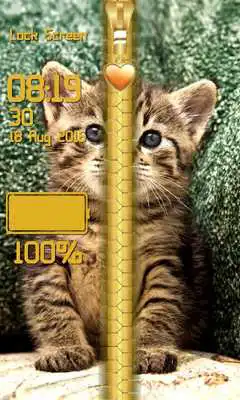 Play Kitty Zipper Lock Screen