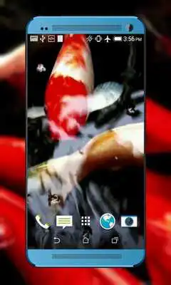 Play Koi Fish HD Video LWP