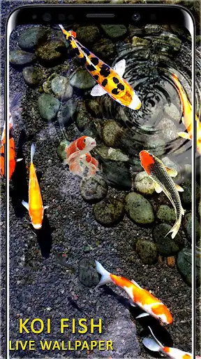 Play Koi Fish Live Wallpapers as an online game Koi Fish Live Wallpapers with UptoPlay