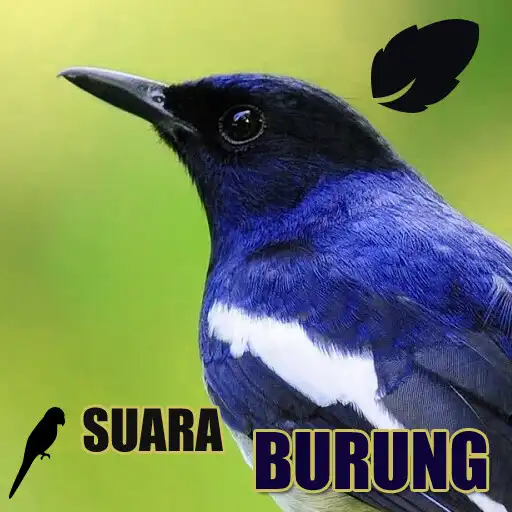 Play Koleksi Suara Burung APK