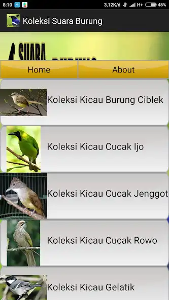 Play Koleksi Suara Burung as an online game Koleksi Suara Burung with UptoPlay