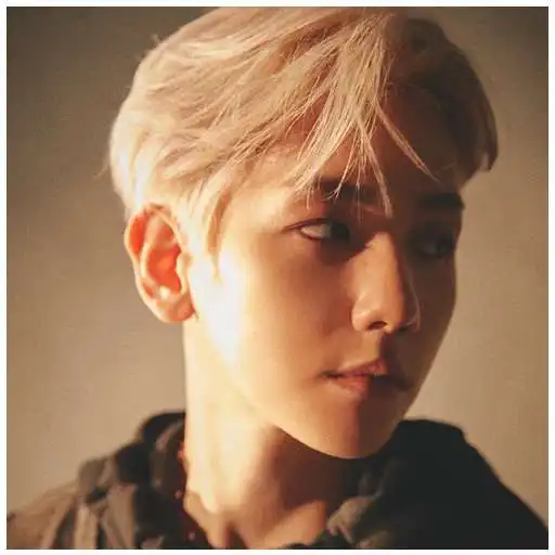 Play Kpop Baekhyun Exo Wallpaper APK