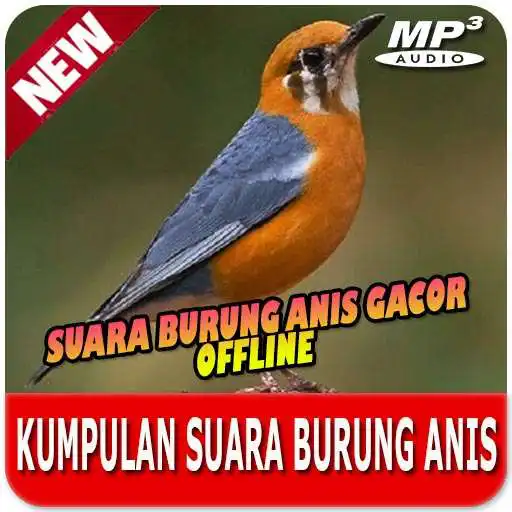 Play Kumpulan Suara Burung Anis Offline APK