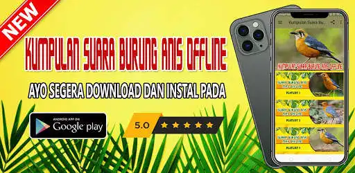 Play Kumpulan Suara Burung Anis Offline  and enjoy Kumpulan Suara Burung Anis Offline with UptoPlay