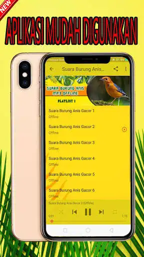 Play Kumpulan Suara Burung Anis Offline as an online game Kumpulan Suara Burung Anis Offline with UptoPlay