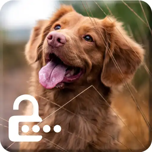 Play Labrador Dog Retriever Puppy Theme Screen Lock APK