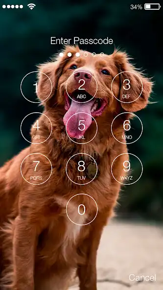 Play Labrador Dog Retriever Puppy Theme Screen Lock as an online game Labrador Dog Retriever Puppy Theme Screen Lock with UptoPlay