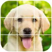 Free play online Labrador Tile Puzzle APK