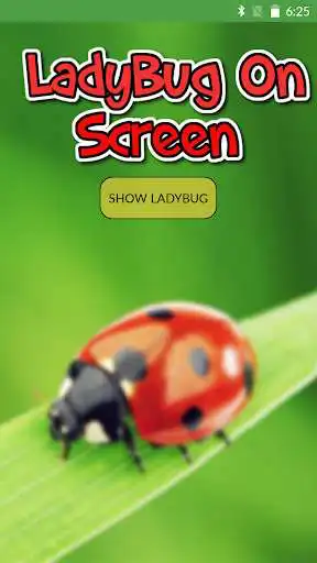 Play Ladybug On Screen