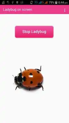 Play Ladybug On Screen