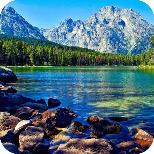 Play Lake Full HD Wallpaper APK